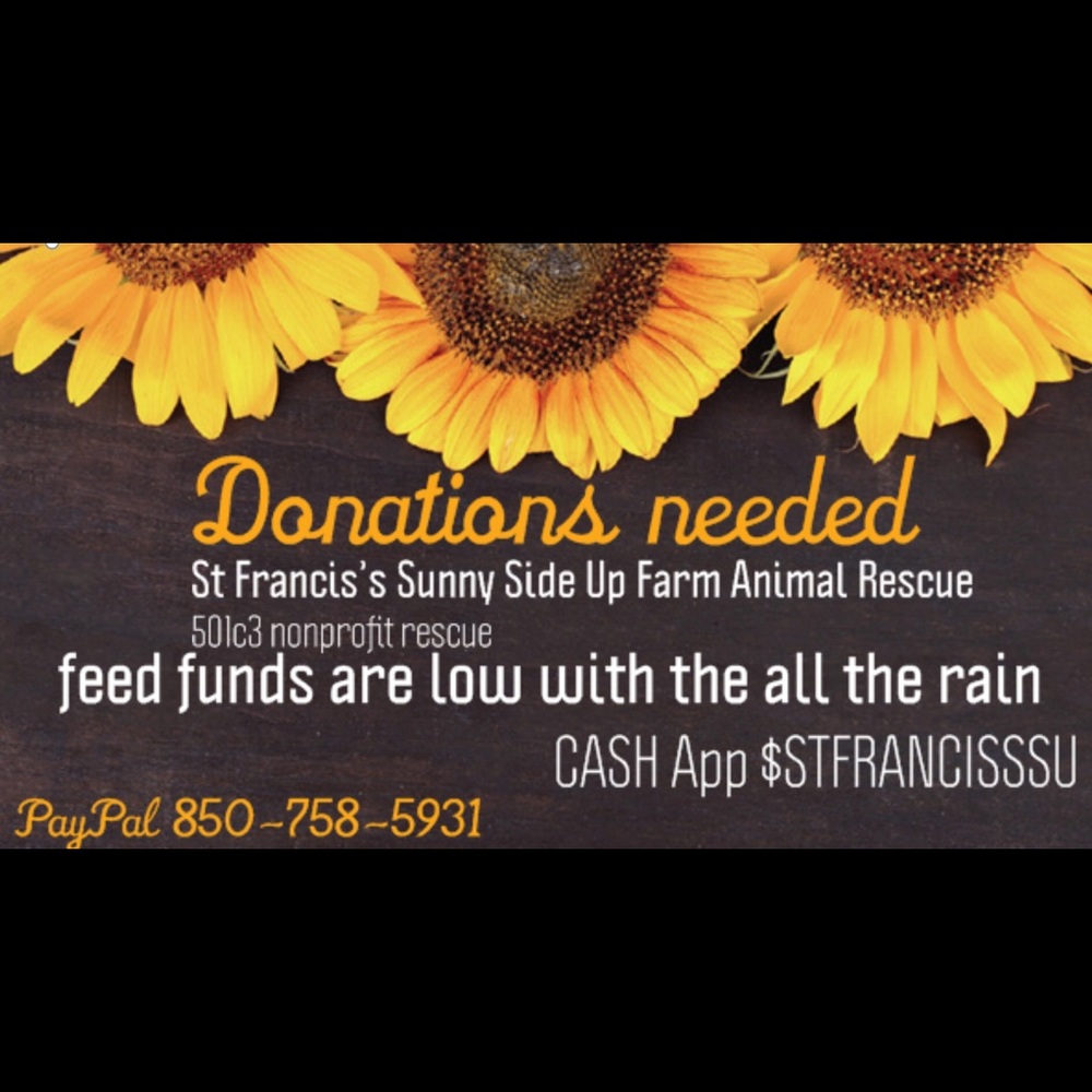 Loft bundle - Picture 5 of 5